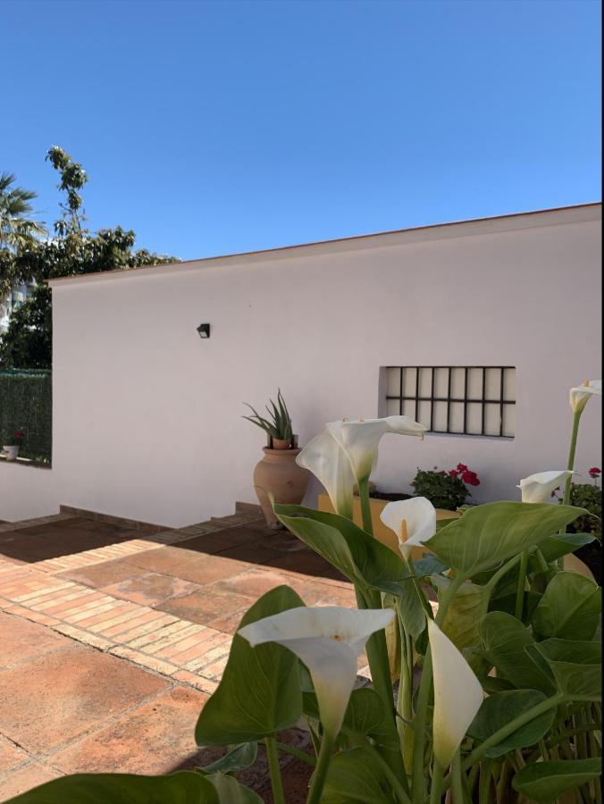 A Estrenar Preciosa Suite-Centrico-Con Jardin Y Porche Торемолинос Екстериор снимка